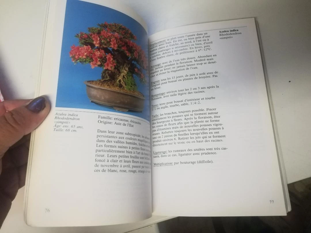 Book "INDOOR BONSAI" – photo 7
